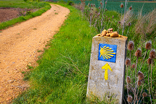 The Way of Saint James shell sign and arrow